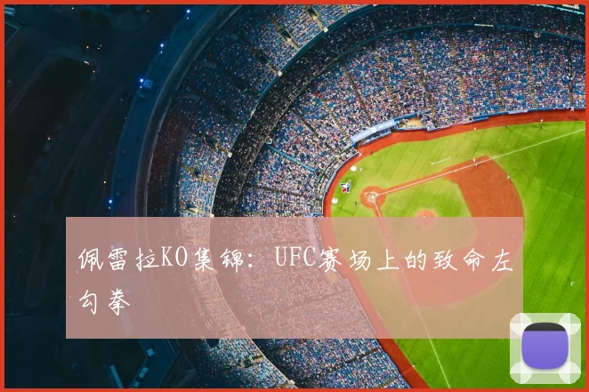佩雷拉KO集锦：UFC赛场上的致命左勾拳