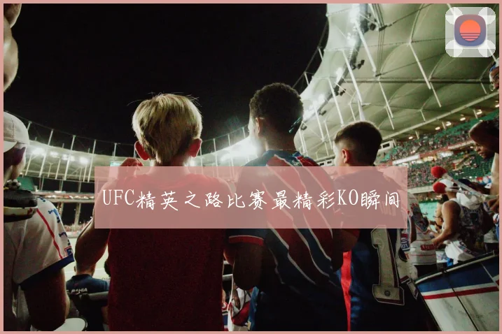UFC精英之路比赛最精彩KO瞬间