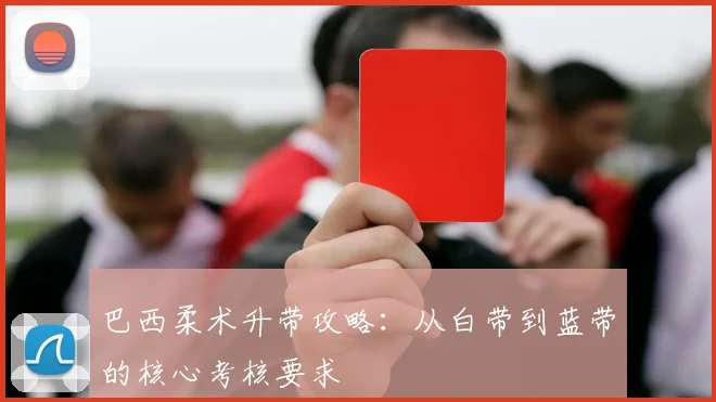 巴西柔术升带攻略:从白带到蓝带的核心考核要求