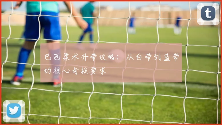 巴西柔术升带攻略：从白带到蓝带的核心考核要求
