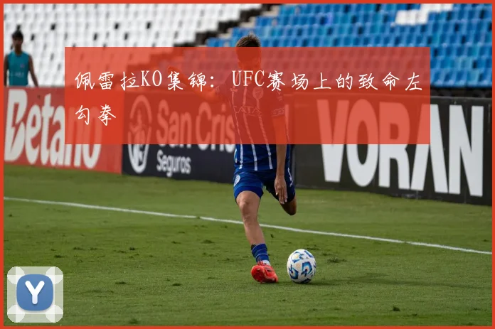 佩雷拉KO集锦：UFC赛场上的致命左勾拳