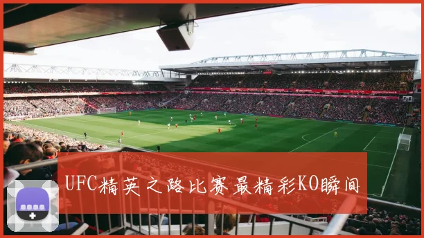 UFC精英之路比赛最精彩KO瞬间