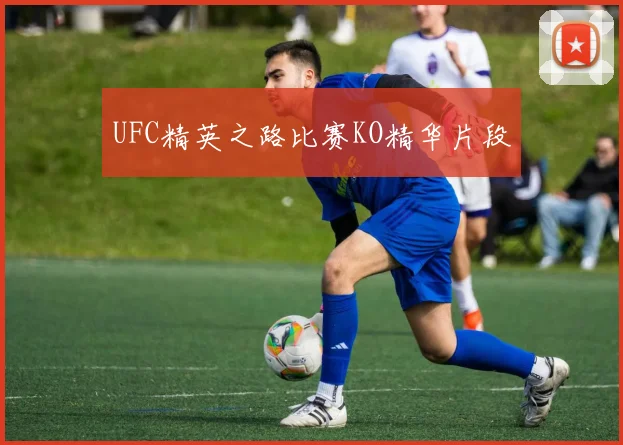 UFC精英之路比赛KO精华片段