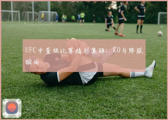 UFC中量级比赛精彩集锦:KO与降服瞬间