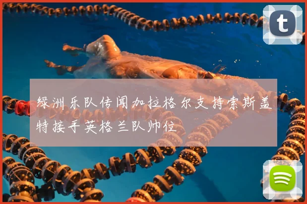 绿洲乐队传闻加拉格尔支持索斯盖特接手英格兰队帅位